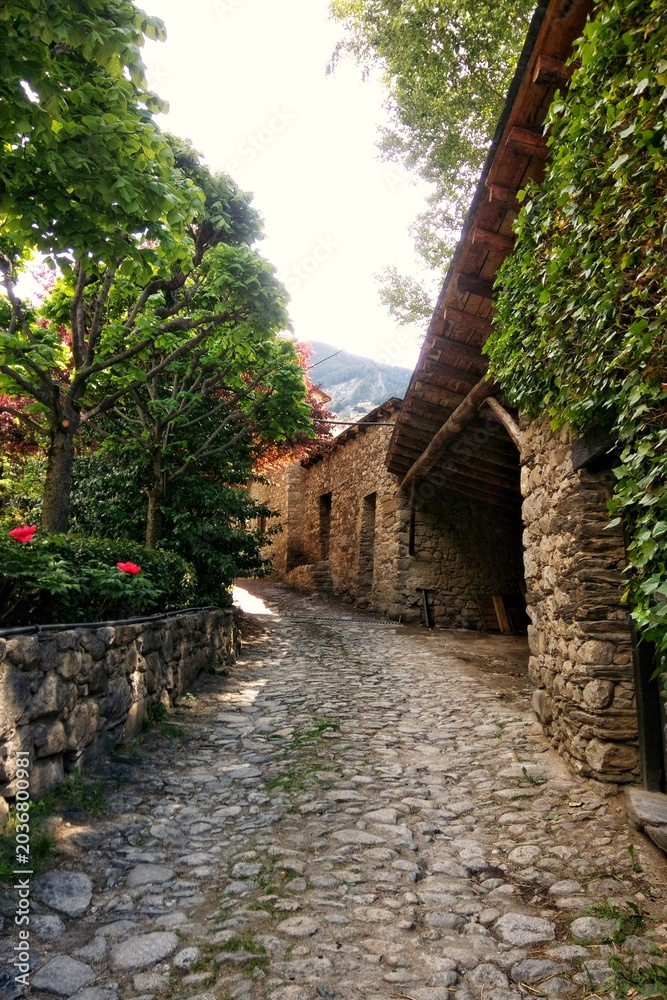 Fototapeta premium A narrow historic street with cobblestone pavement leading past traditional old stone buildings and green deciduous trees with red flowers in a rural mountain village of Ordino district, Andorra