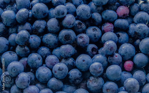 Freshly picked blueberries fruit 
