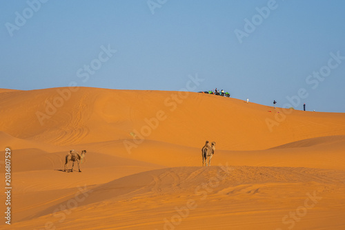 Off-road adventure vehicles and tourists exploring golden Sahara dunes near Merzouga, Morocco