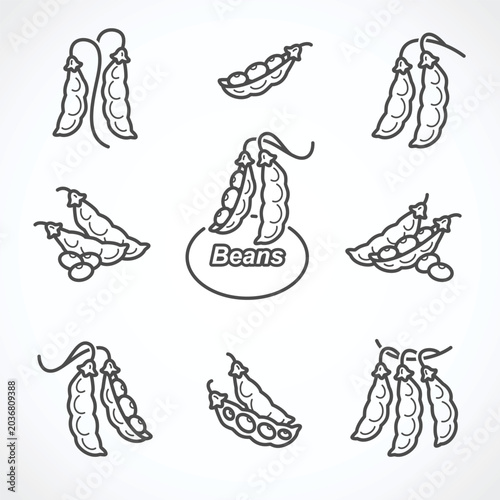 Beans set. Collection icon bean. Vector