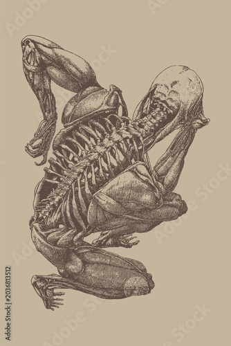 Εκτύπωση καμβά Contorted Human Anatomy Figure with Muscles and Skeleton Fusion
