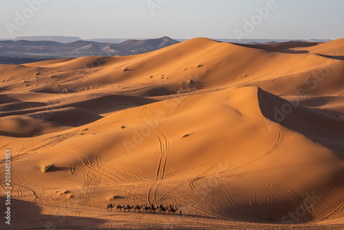 Camel caravan crossing illuminated Sahara dunes at sunrise near Merzouga, Morocco