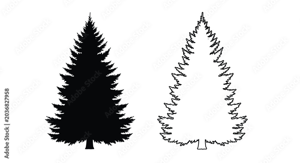 Obraz premium Fir tree silhouettes and line art on a white background
