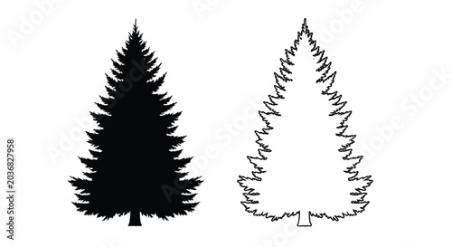 Fir tree silhouettes and line art on a white background
