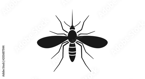 Schilderij op canvas Mosquito silhouette viewed from above highlights the anatomy of this common insect known for spreading diseases