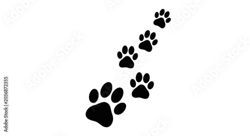 Foto A diagonal line of five black paw prints leads upwards on a pure white background