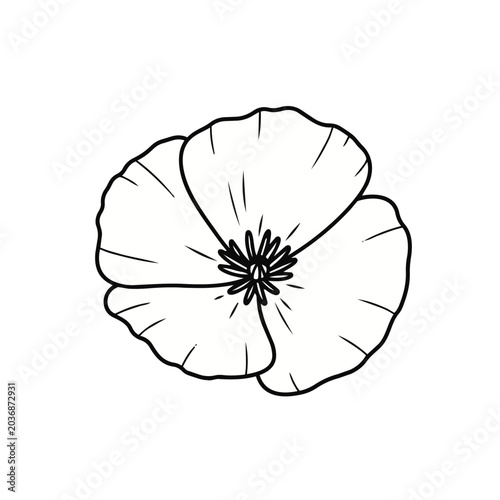 Simple California Poppy Flower Line Art Vector