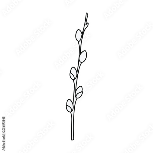 Minimalist Pussy Willow Branch Line Art Vector Illustration