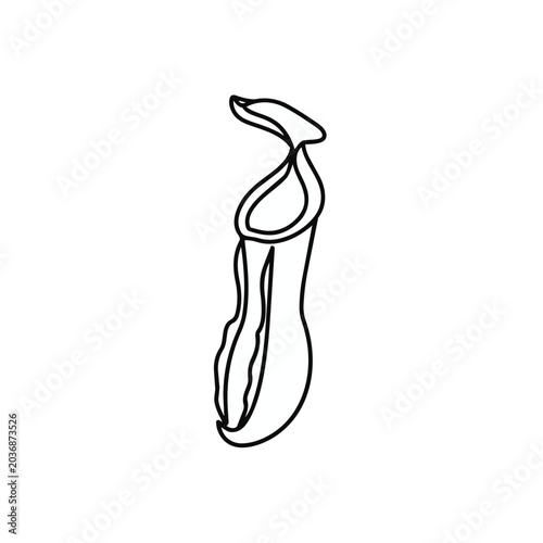 Tropical Pitcher Plant Line Art Vector Illustration