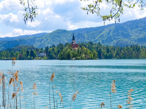 Fotografie Beautiful day with blue sky, sunshine and emerald green water of Lake Bled and B