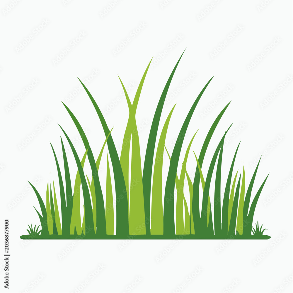 Fototapeta premium Green Grass Illustration