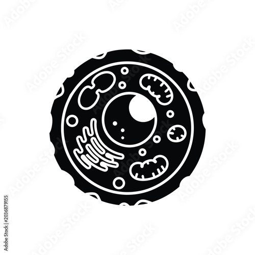 Foto Cell Structure Biology Illustration.