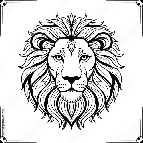 lion vector illustration