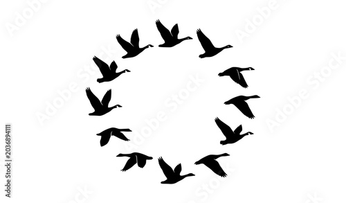 Konstfotografi Minimal Flying Goose Silhouette Collection Vector Illustration for Wildlife and