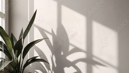 minimal monochrome plant shadows on textured wall, modern botanical background with natural light and clean aesthetic