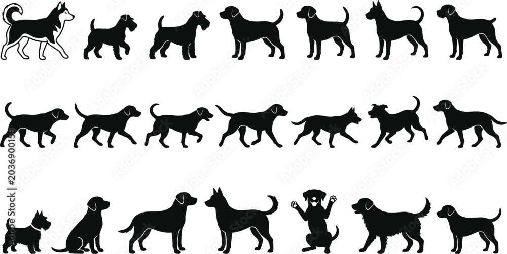 Fototapeta premium Dog Breed Silhouette Collection Featuring Domestic Canines in Standing Walking Sitting and Playful Poses