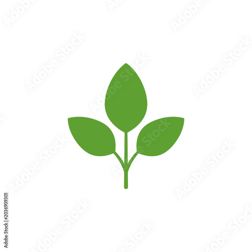 Green Plant Leaves Minimalist Eco Icon Vector