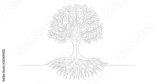 Photos Stylized Tree with Visible Roots - Line Art Illustration