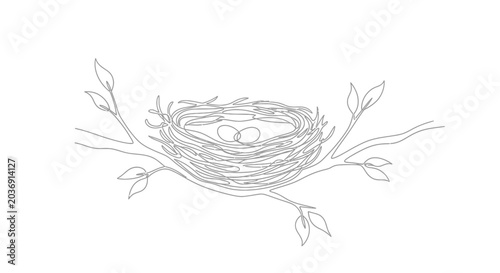 Photos Minimalist Bird Nest with Eggs on Branch Outline Drawing