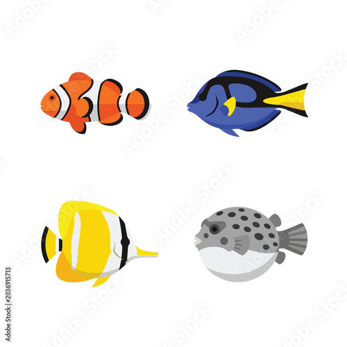 Collection of Tropical Saltwater Fish Illustrations including Clownfish Blue Tang Butterflyfish and Pufferfish