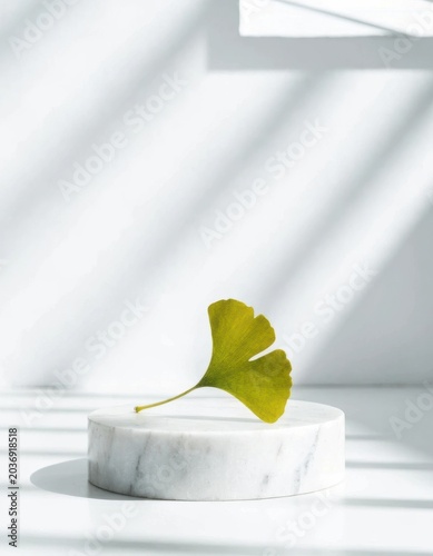 Minimalist Ginkgo Leaf on Marble Podium with Soft Window Shadows, Social Media Ad Vertical Story Background with Copy Space for Organic Skincare Branding and Wellness