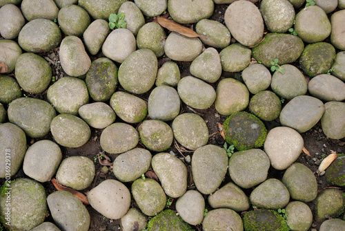 Photography River stones arranged on the ground surface are a natural floor design to maintain rainwater absorption and add aesthetics