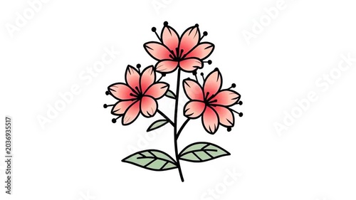 Delicate Floral Animation - Blooming Flowers in Motion.