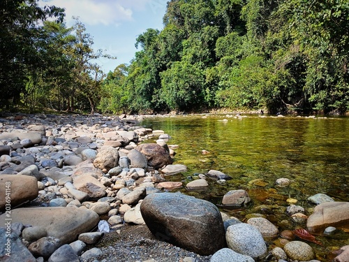 Tableau sur toile river flows in the forest