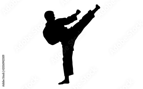 Silhouette of a person performing a high kick in a martial arts stance on white background
