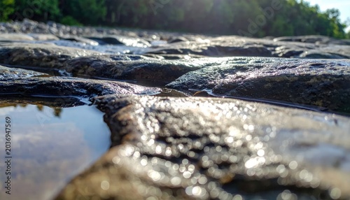 Close-up of Wet Rocks and Puddles Reflecting Sunlight.