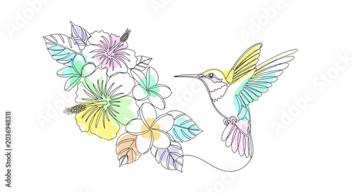 Hummingbird and Tropical Flowers Sketch Art, Pastel Colors, Delicate Line Drawing