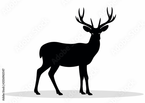 Foto Black Silhouette Of A Deer With Antlers Against A White Background