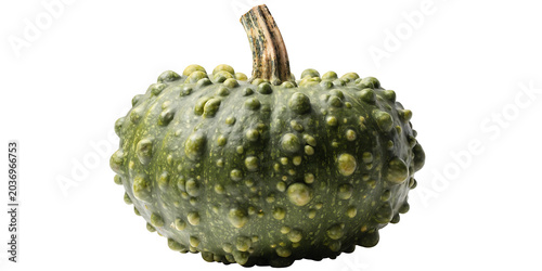Photography A bumpy warty green decorative pumpkin isolated on transparent background for au