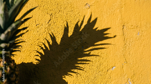 Pineapple shadow on a vibrant yellow textured wall background