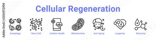 Photos Cellular Regeneration Web Icon Banner and Collection
