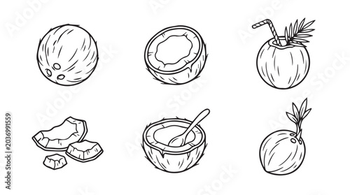 Set of coconut fruit illustrations in hand drawn outline style with tropical refreshing vegetarian illustration monochrome isolated collection refreshment ingredient nutrition vitamins