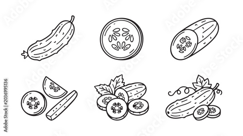 Fresh cucumber slices and pieces hand drawn line art icons with cucumber vegetable ingredient nutrition botanical illustration collection monochrome isolated appetizer culinary preparation