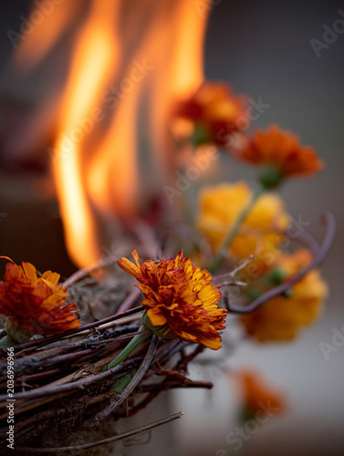 Close-Up of Orange Marigold Flowers Offering in Traditional Ritual Fire