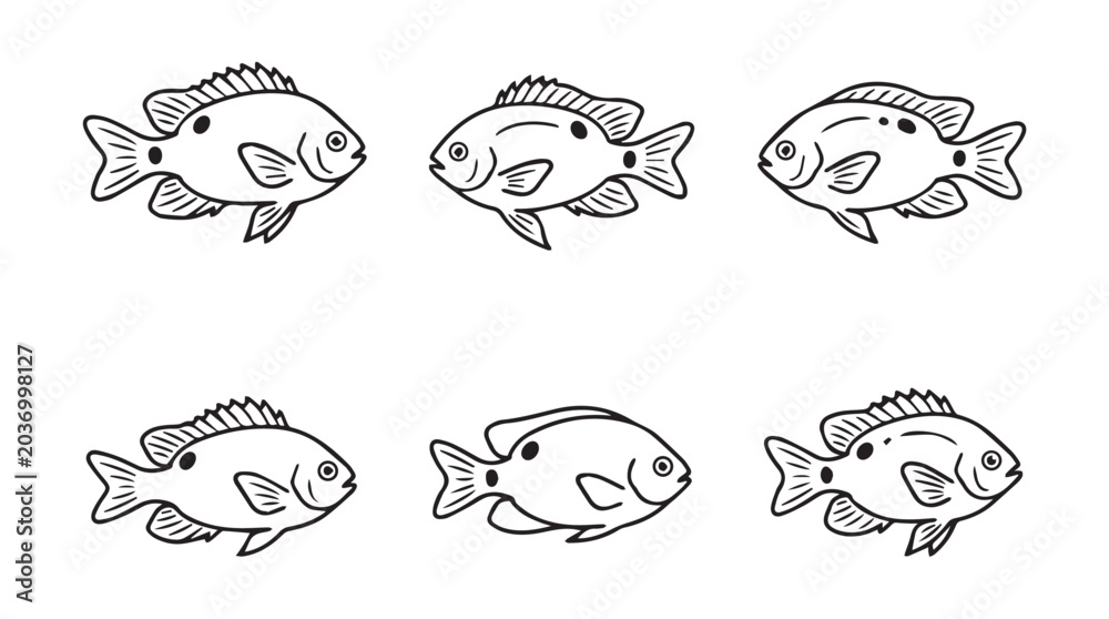 Obraz premium Set of stylized fish sketches with wildlife creature illustration collection isolated swimming freshwater saltwater underwater monochrome minimalist creative vertebrate