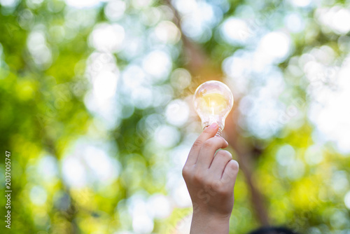 light bulb against nature, icons