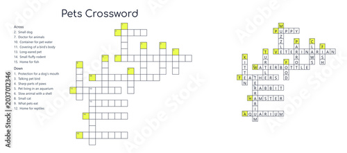 Crossword with answers about pets and domestic animals on transparent background