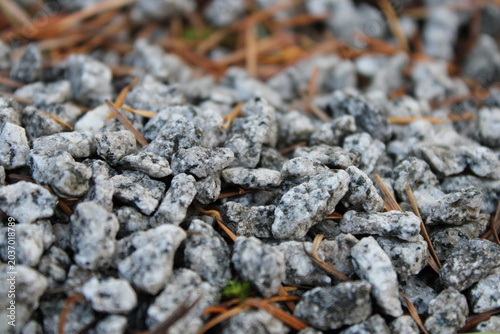 Grey granite chips with dry pine needles close up background