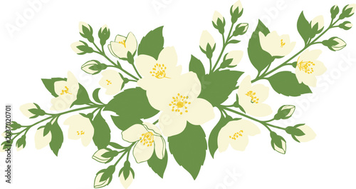 Fotografie Delicate white jasmine flowers with green leaves and buds a fragrant botanical i