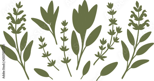 Collection of minimalist botanical plant silhouettes featuring various herbs and floral elements perfect for nature-inspired design projects and branding