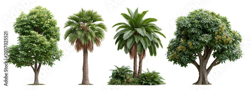 Lush green trees nature scene transparent background vibrant environment