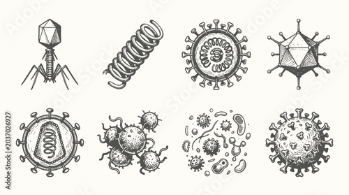 Foto Microscopic Viruses and Bacteria: Hand-Drawn Scientific Illustrations