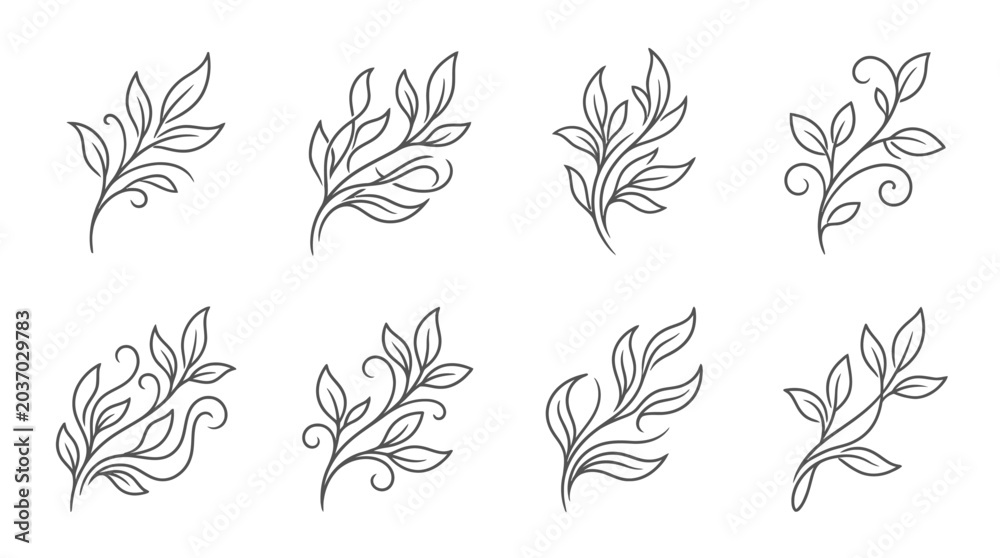 Fototapeta premium Hand-drawn floral elements, elegant leaf branches, decorative botanical swirls