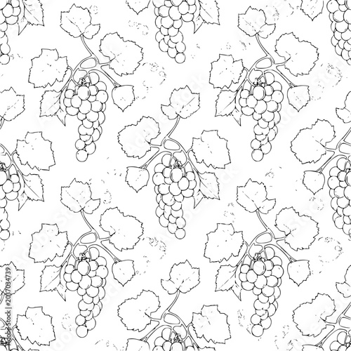 Seamless pattern of hand drawn grape bunches and leaves line art