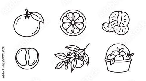 Citrus fruit clementine orange hand drawn icon set with clementine mandarin illustration isolated nutrition ingredient collection tropical segments refreshment