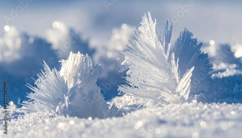 Frozen crystals on icy winter surface.